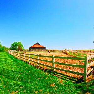 Photo #21 of 1024 Riley Run, Forest, VA 18.4 acres
