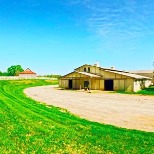 Photo #6 of 1024 Riley Run, Forest, VA 18.4 acres