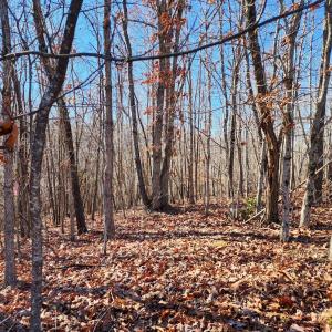 Photo #5 of Pinecrest Drive, Madison Heights, VA 94.0 acres