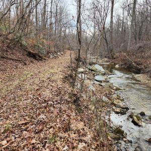 Photo #7 of Pinecrest Drive, Madison Heights, VA 94.0 acres