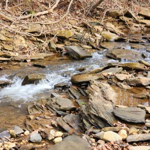 Photo #10 of Pinecrest Drive, Madison Heights, VA 94.0 acres