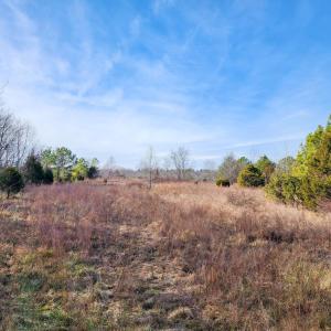 Photo #6 of Pinecrest Drive, Madison Heights, VA 94.0 acres