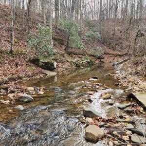 Photo #8 of Pinecrest Drive, Madison Heights, VA 94.0 acres