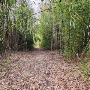 Photo #13 of Pinecrest Drive, Madison Heights, VA 94.0 acres