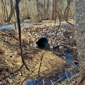 Photo #2 of 2 Watt Abbitt Road, Appomattox, VA 24.1 acres