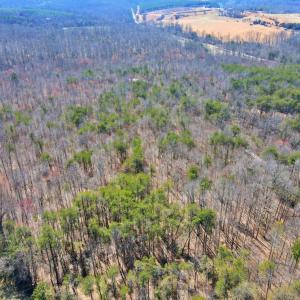 Photo #8 of 2 Watt Abbitt Road, Appomattox, VA 24.1 acres