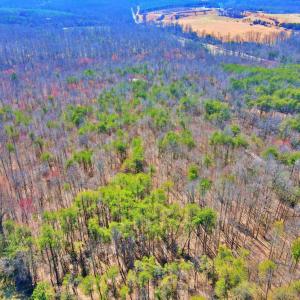 Photo #14 of 2 Watt Abbitt Road, Appomattox, VA 24.1 acres