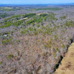 Photo #9 of 2 Watt Abbitt Road, Appomattox, VA 24.1 acres