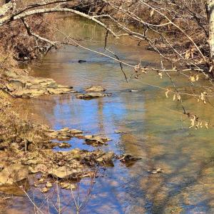 Photo #7 of 2 Watt Abbitt Road, Appomattox, VA 24.1 acres