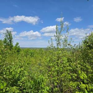 Photo #1 of Leigh Mountain Rd, Green Bay, VA 25.9 acres