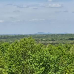 Photo #2 of Leigh Mountain Rd, Green Bay, VA 25.9 acres