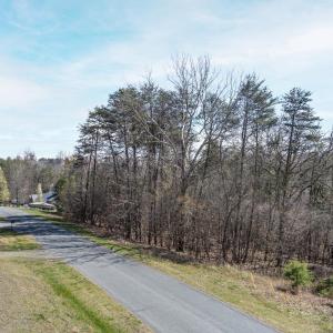 Photo #11 of Inlet Drive, Wirtz, VA 0.6 acres