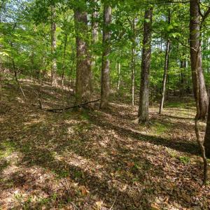 Photo #16 of 379 High Point Rd, Moneta, VA 2.5 acres