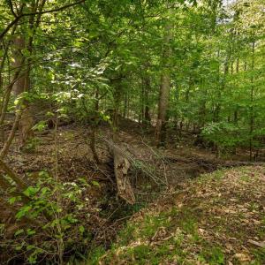 Photo #17 of 379 High Point Rd, Moneta, VA 2.5 acres