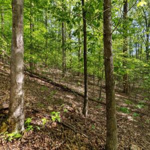 Photo #15 of 379 High Point Rd, Moneta, VA 2.5 acres