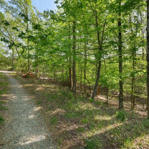 Photo #14 of 379 High Point Rd, Moneta, VA 2.5 acres