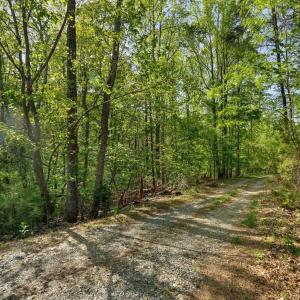 Photo #13 of 379 High Point Rd, Moneta, VA 2.5 acres