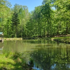 Photo #1 of 2 Venturous Trail, Goode, VA 10.0 acres