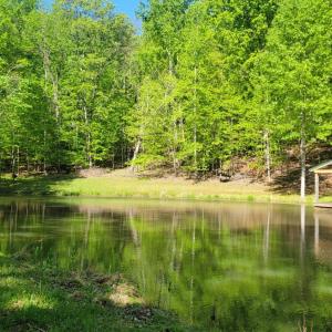 Photo #13 of 2 Venturous Trail, Goode, VA 10.0 acres