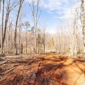 Photo #4 of 2 Venturous Trail, Goode, VA 10.0 acres