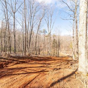 Photo #3 of 2 Venturous Trail, Goode, VA 10.0 acres