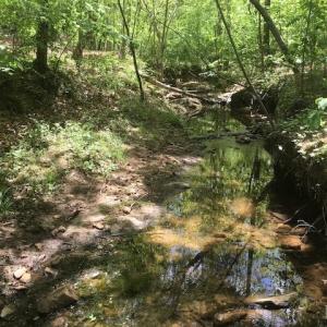 Photo #24 of 687 Elon Rd, Madison Heights, VA 104.1 acres