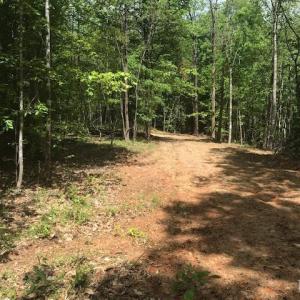 Photo #2 of 687 Elon Rd, Madison Heights, VA 104.1 acres