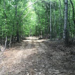 Photo #22 of 687 Elon Rd, Madison Heights, VA 104.1 acres