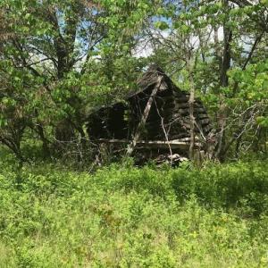 Photo #15 of 687 Elon Rd, Madison Heights, VA 104.1 acres