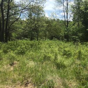 Photo #16 of 687 Elon Rd, Madison Heights, VA 104.1 acres