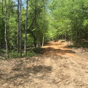 Photo #18 of 687 Elon Rd, Madison Heights, VA 104.1 acres