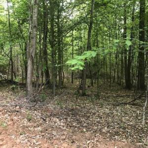 Photo #34 of 687 Elon Rd, Madison Heights, VA 104.1 acres