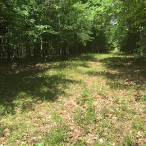 Photo #3 of 687 Elon Rd, Madison Heights, VA 104.1 acres