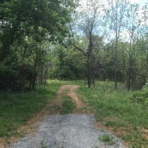 Photo #7 of 687 Elon Rd, Madison Heights, VA 104.1 acres