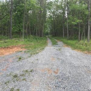 Photo #9 of 687 Elon Rd, Madison Heights, VA 104.1 acres