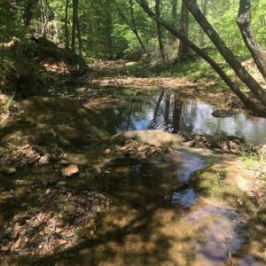 Photo #33 of 687 Elon Rd, Madison Heights, VA 104.1 acres