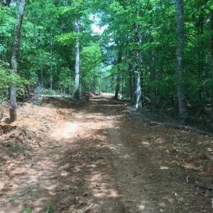 Photo #13 of 687 Elon Rd, Madison Heights, VA 104.1 acres