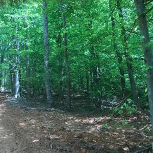 Photo #14 of 687 Elon Rd, Madison Heights, VA 104.1 acres