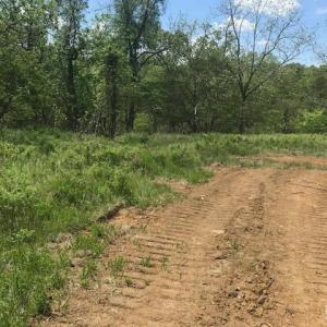 Photo #17 of 687 Elon Rd, Madison Heights, VA 105.0 acres