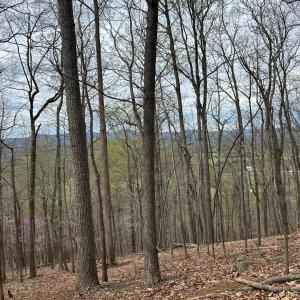 Photo #1 of 6 Crane Drive, Monroe, VA 5.0 acres