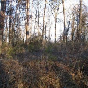 Photo #5 of Carver Road, Martinsville, VA 0.4 acres