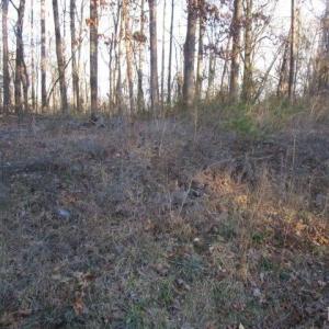 Photo #4 of Carver Road, Martinsville, VA 0.4 acres