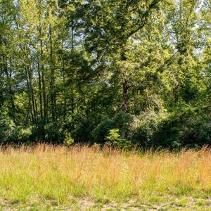 Photo #1 of Watchtower Drive, Moneta, VA 0.6 acres