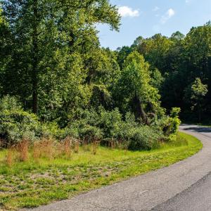 Photo #4 of Watchtower Drive, Moneta, VA 0.6 acres