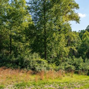 Photo #2 of Watchtower Drive, Moneta, VA 0.6 acres