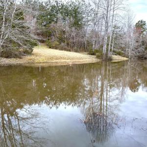 Photo #87 of 7941 Sugar Hill Road, Brookneal, VA 48.6 acres