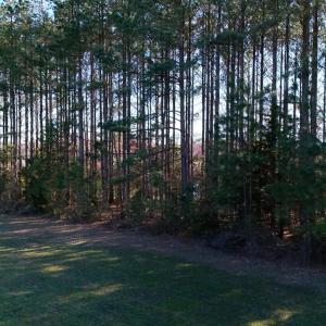 Photo #69 of 7941 Sugar Hill Road, Brookneal, VA 48.6 acres