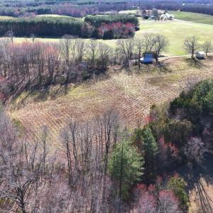 Photo #76 of 7941 Sugar Hill Road, Brookneal, VA 48.6 acres