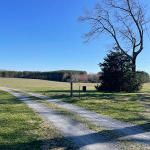 Photo #91 of 7941 Sugar Hill Road, Brookneal, VA 48.6 acres
