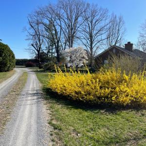 Photo #89 of 7941 Sugar Hill Road, Brookneal, VA 48.6 acres